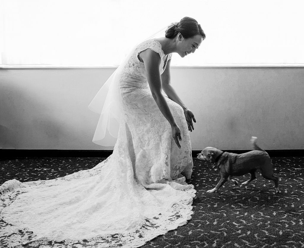 A bride in a wedding dress is playing with a small dog.