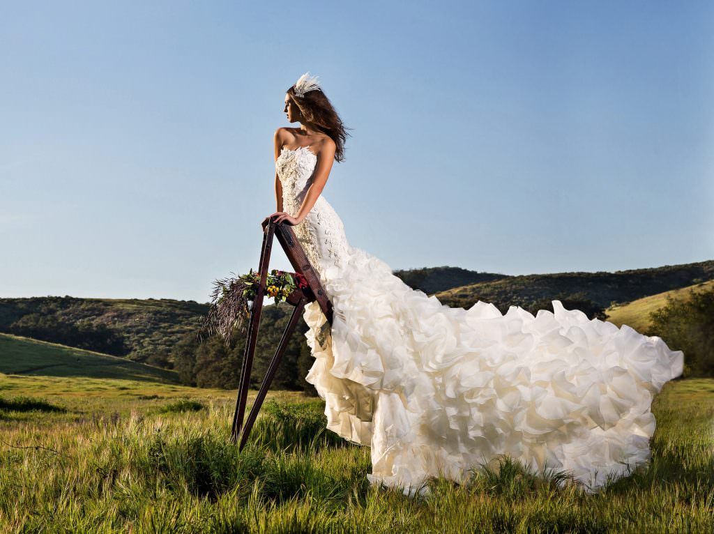 A woman in a wedding dress is standing on a ladder in a field.