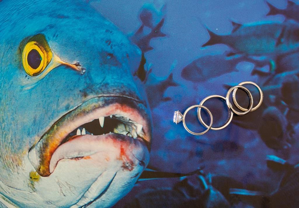 A man in a suit and tie is smiling for the camera