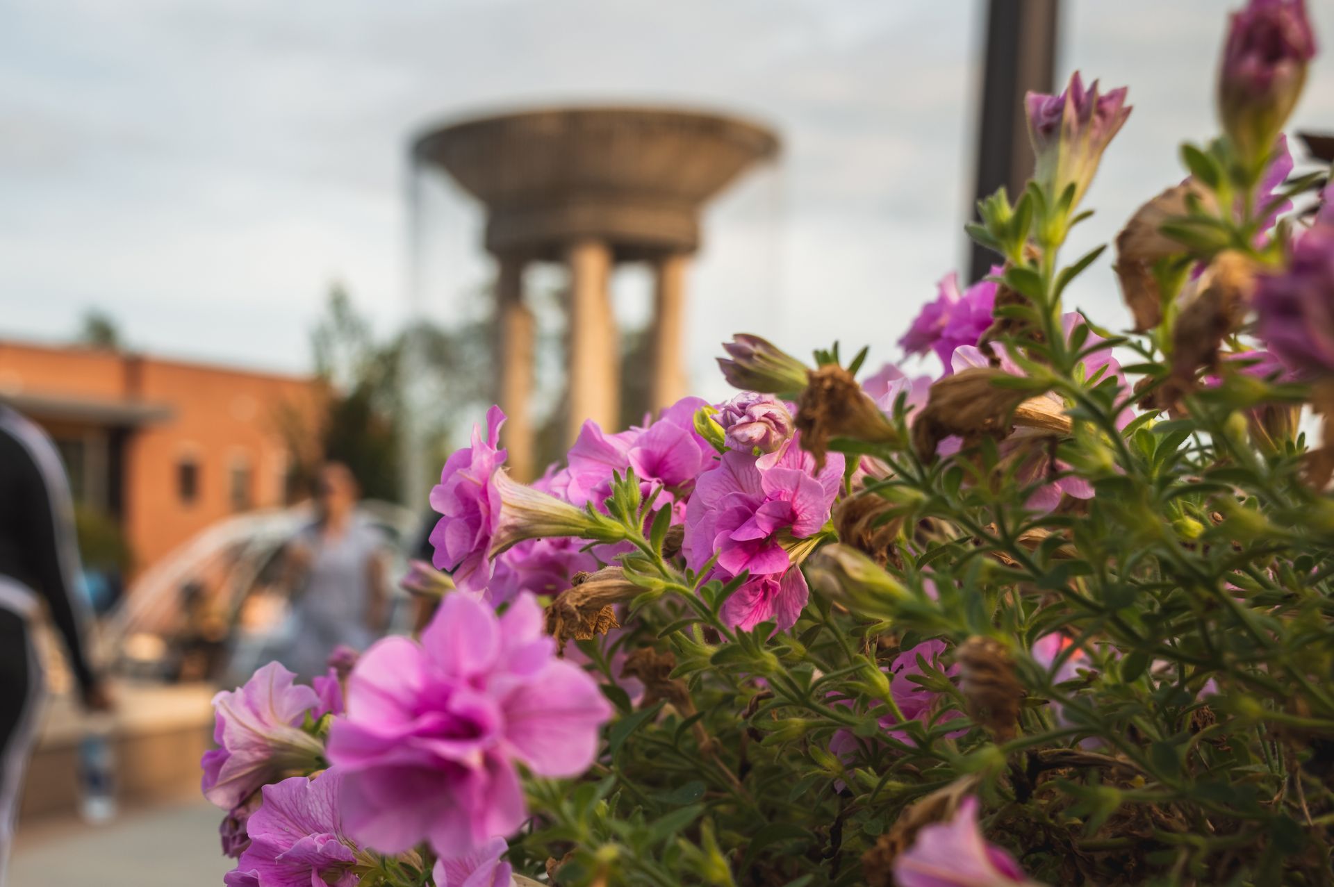 Woman in blue overalls and yellow gloves smiles, giving an 