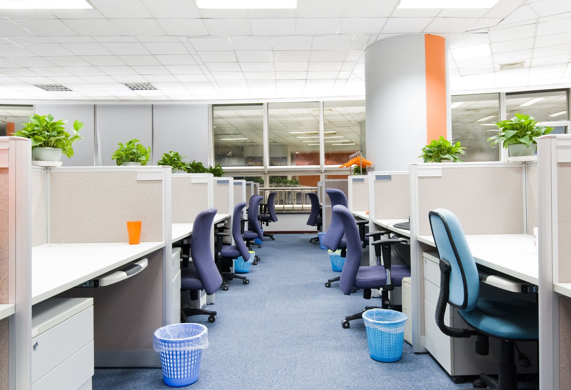 An office floor with rows of empty cubicles, swivel chairs, small potted plants, and blue wastebaskets.