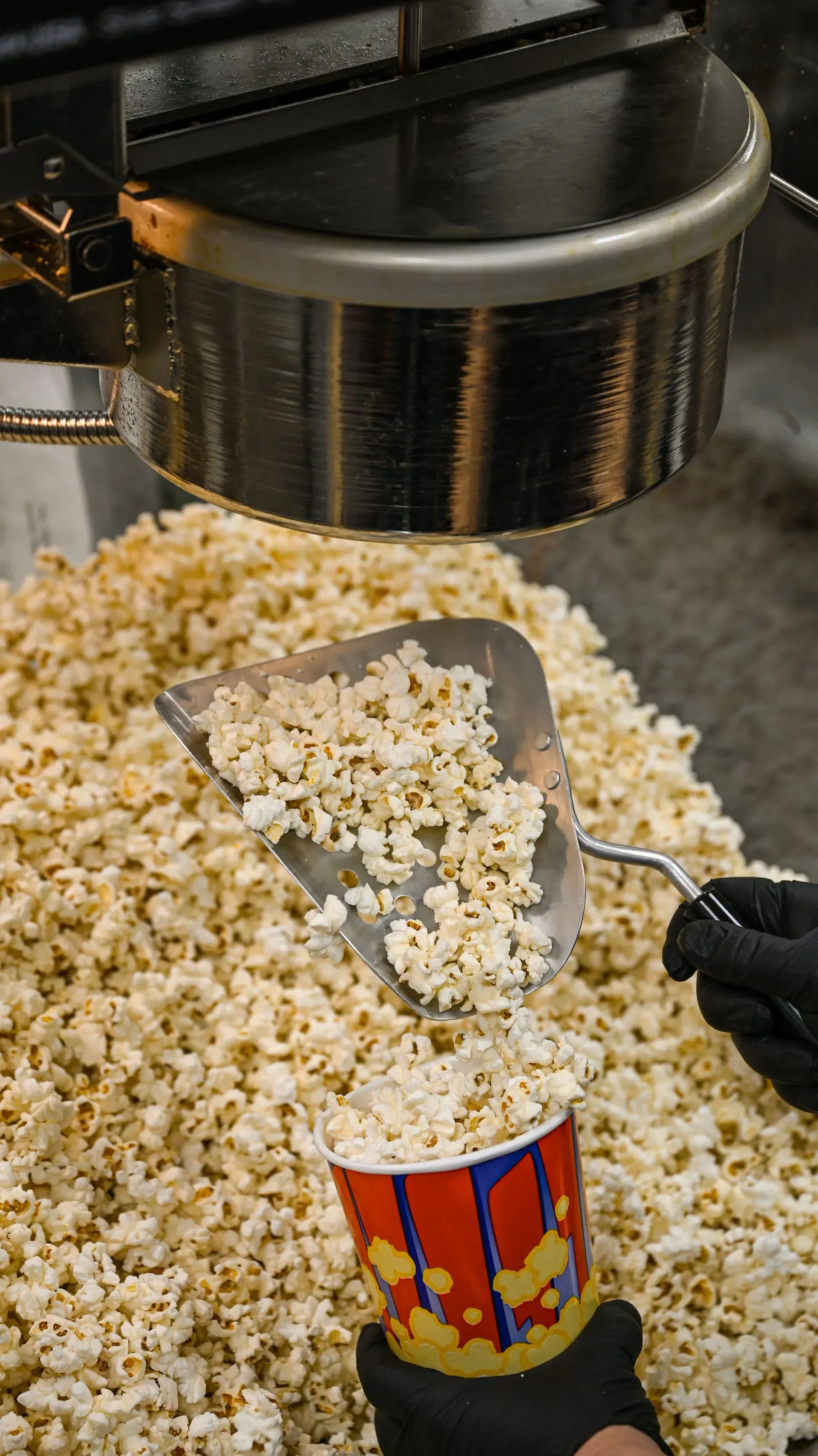 A person is pouring popcorn into a cup from a machine.