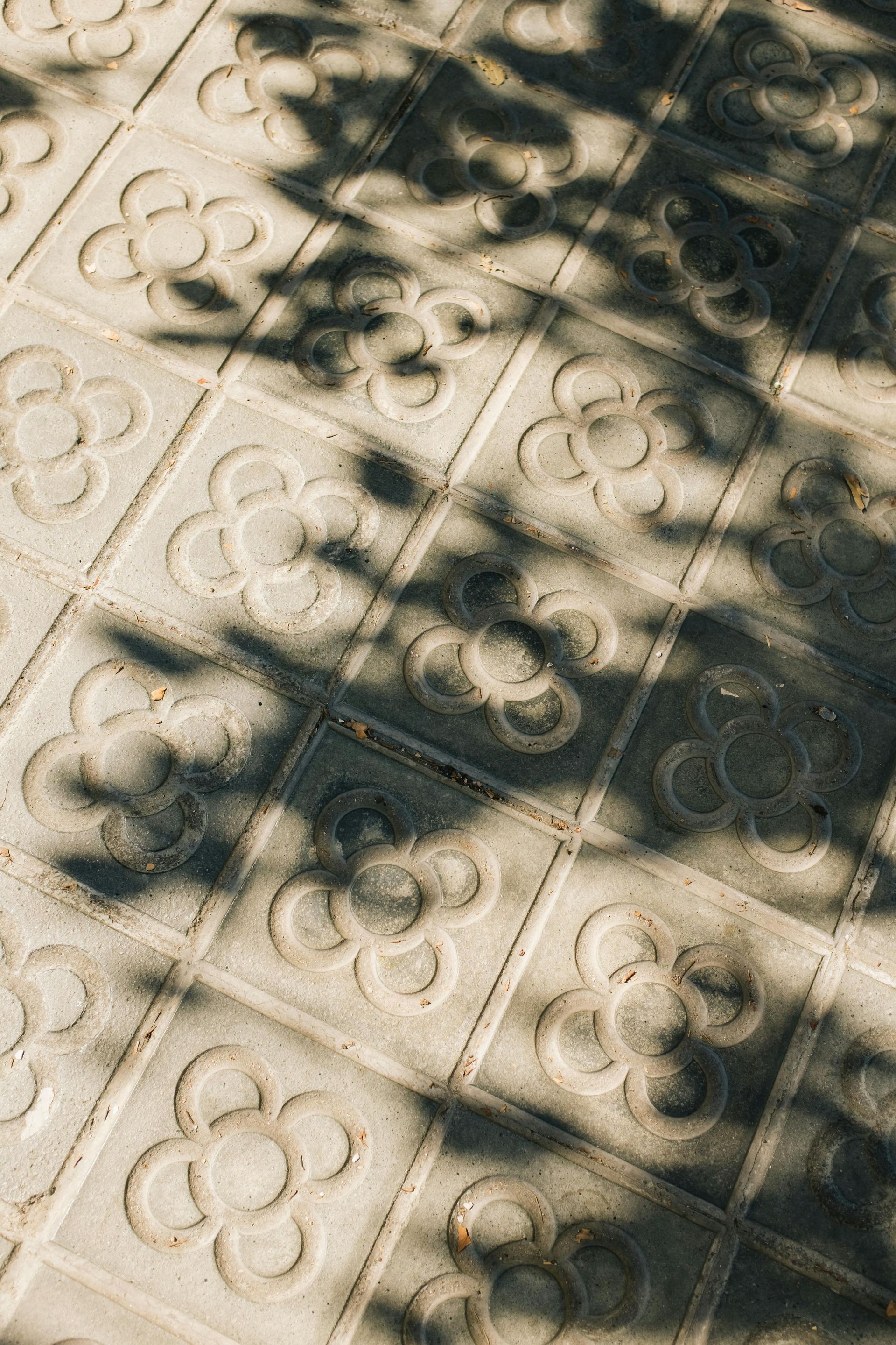 The shadow of a tree is cast on a tiled floor.