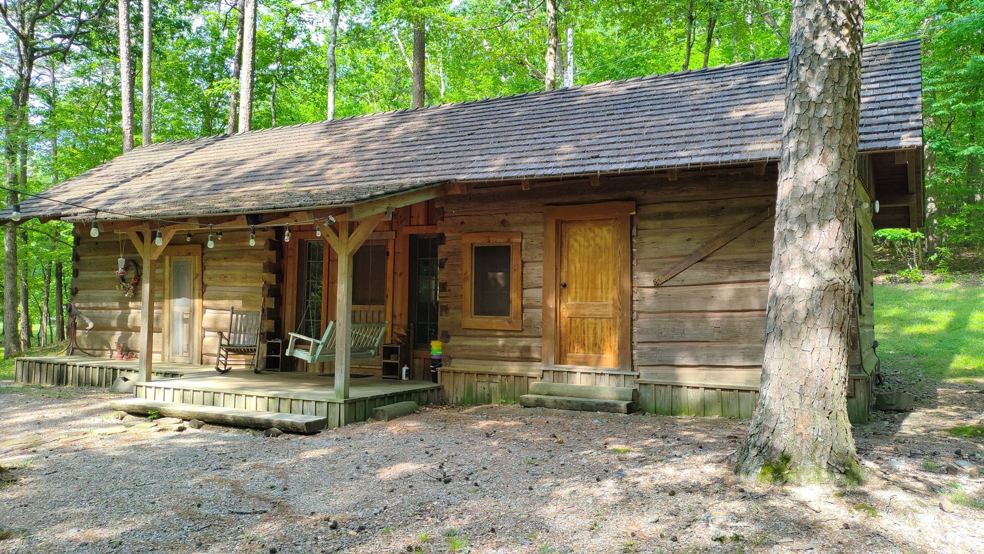 A rustic wooden cabin with a covered front porch, nestled in a lush, green forest on a sunny day.
