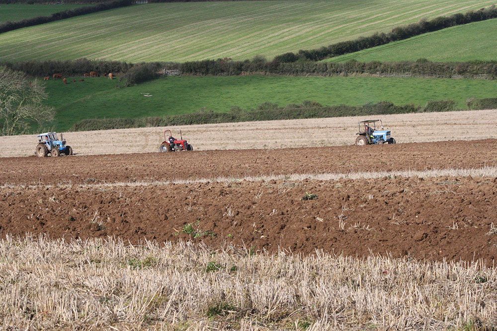 Three tractors are plowing a field with a green field in the background.