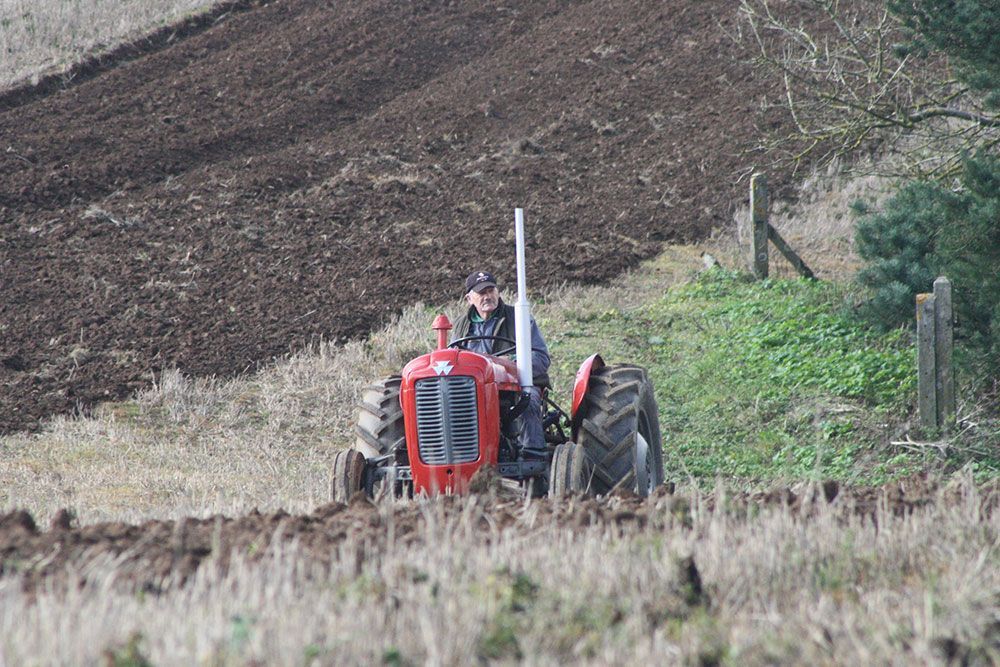 A man is driving a red tractor through a field.