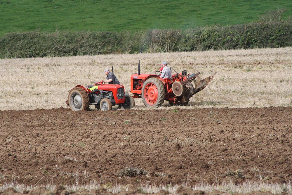 Two tractors are plowing a field together.