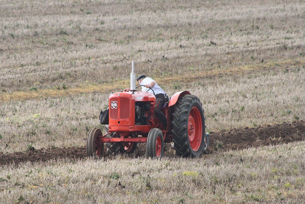 A man is driving a red tractor through a field.