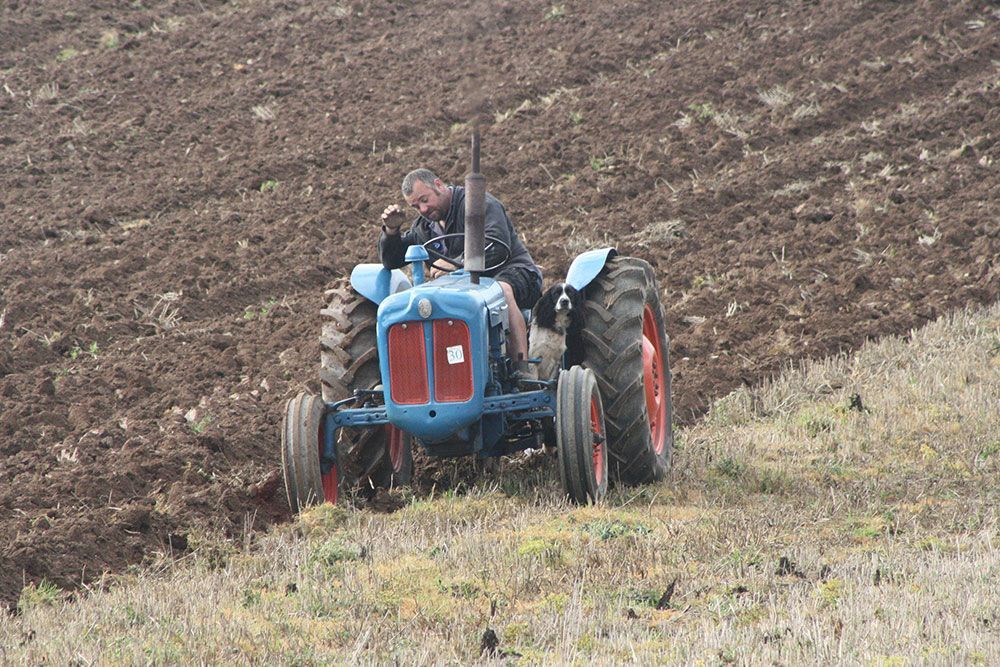 A man is driving a blue tractor in a field.