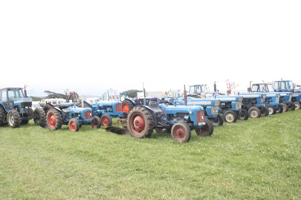 A row of blue tractors are parked in a grassy field.
