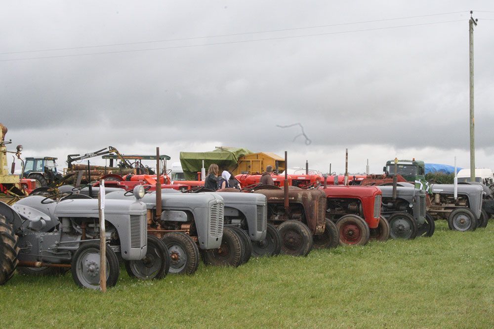 A row of tractors are parked in a grassy field.