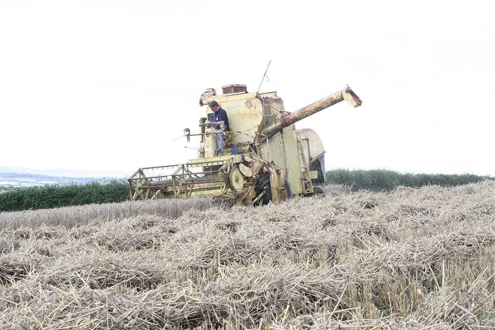 A man is driving a combine harvester in a field.