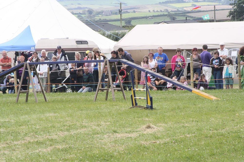 A group of people are watching a dog on a ramp in a field.
