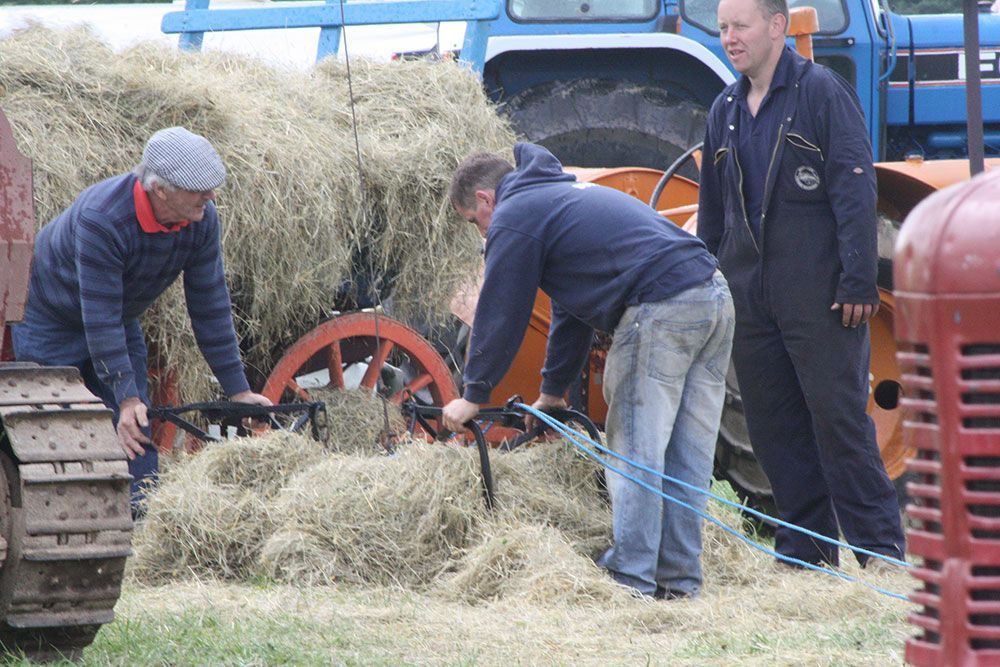 A group of men are standing around a pile of hay.