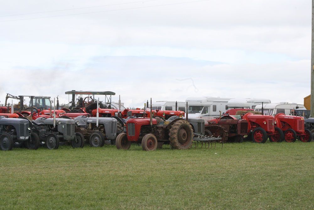 A row of old tractors are parked in a grassy field.