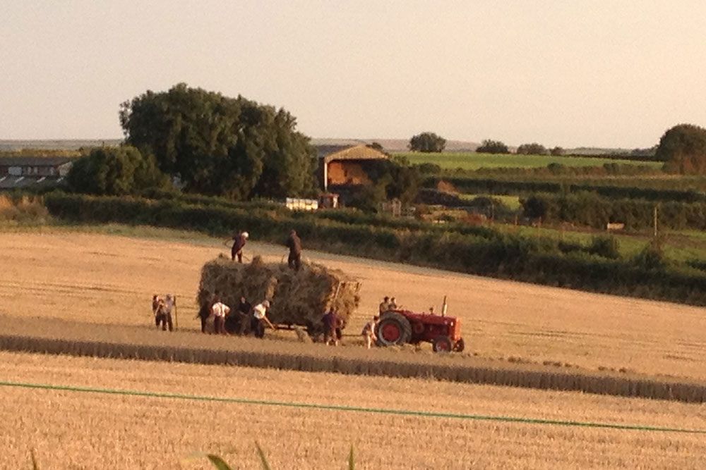 A group of people are loading hay onto a tractor in a field.