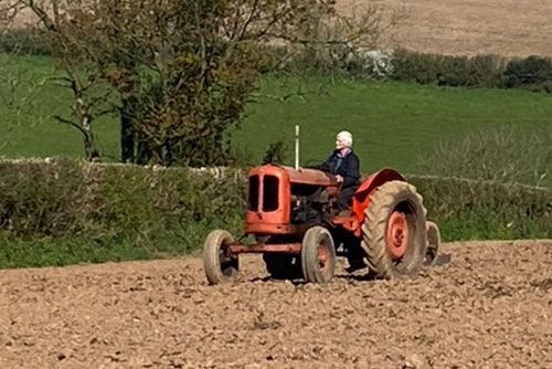 A man is driving an old red tractor in a field.