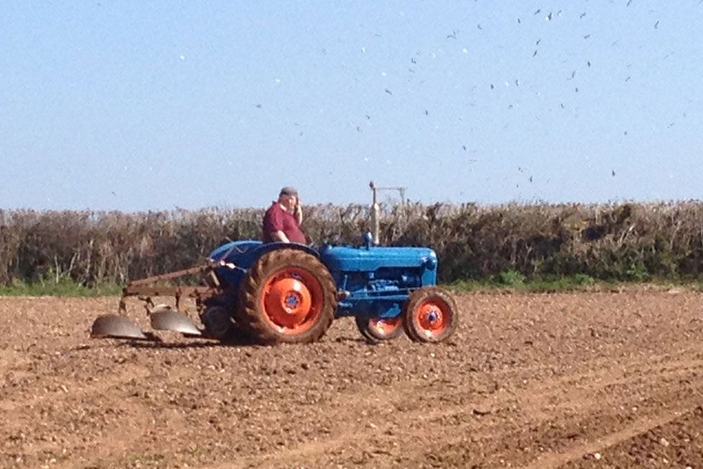 A man is plowing a field with a blue tractor