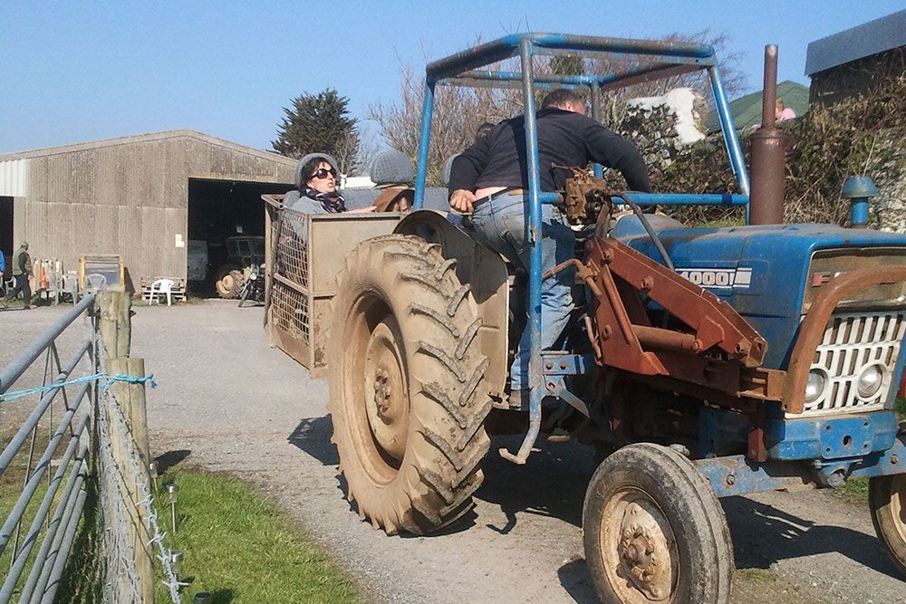 A man is driving a blue ford tractor