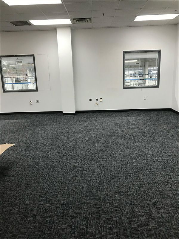 Empty office space with dark carpet, white walls, two windows, and overhead lighting.
