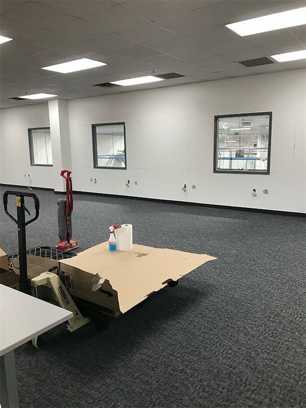Empty office space with three windows, white walls, and dark carpet. 