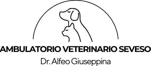 Dr. Alfeo Giuseppina logo