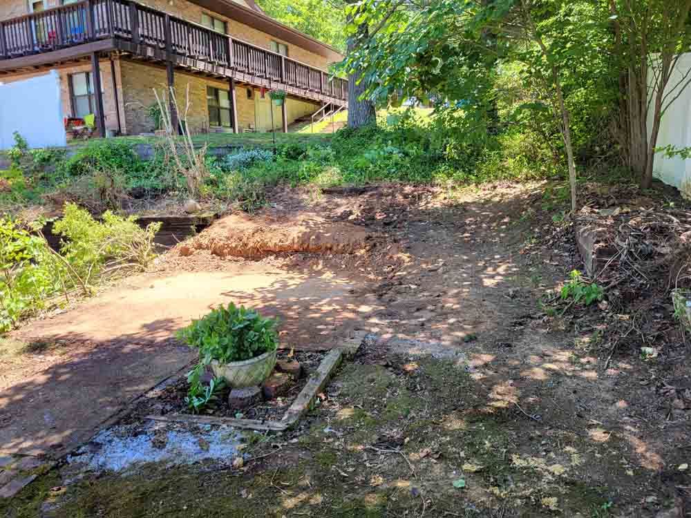 A dirt road leading to a house surrounded by trees and bushes.