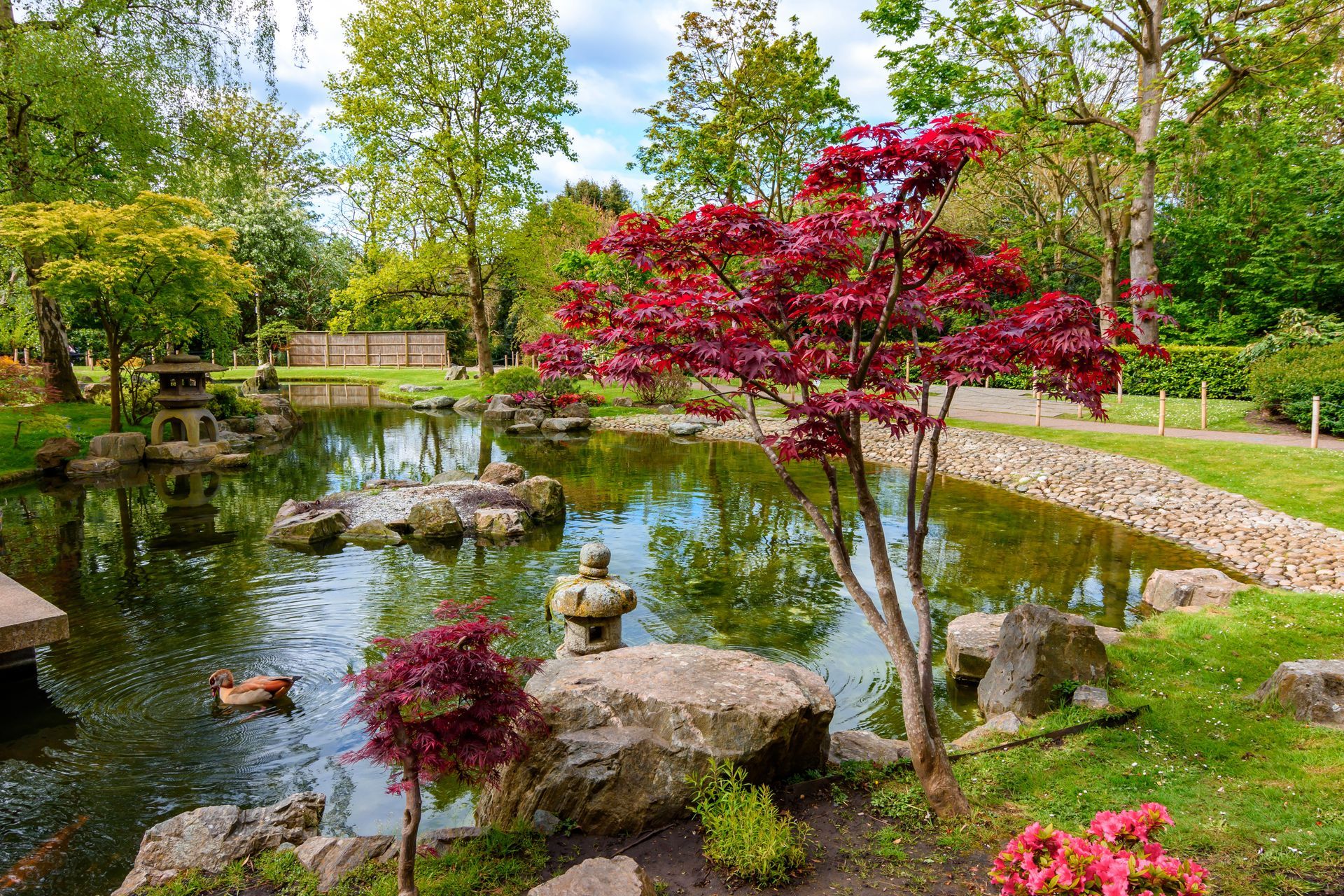 Elite Outdoor Living Solutions is installing a custom swimming pool with a waterfall in Oklahoma City.