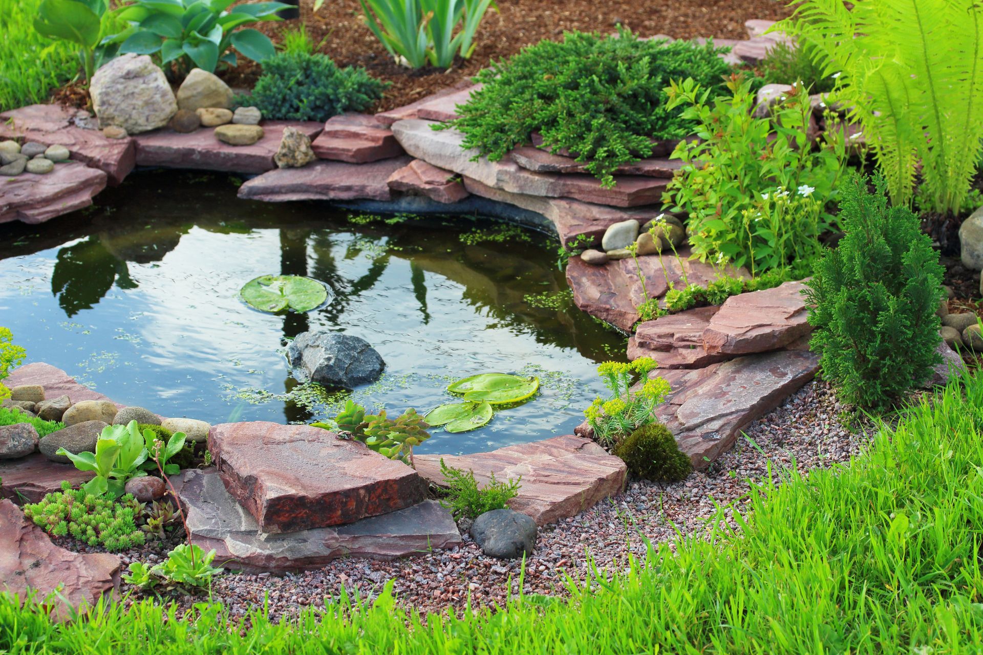 A small pond surrounded by rocks and plants in a garden.