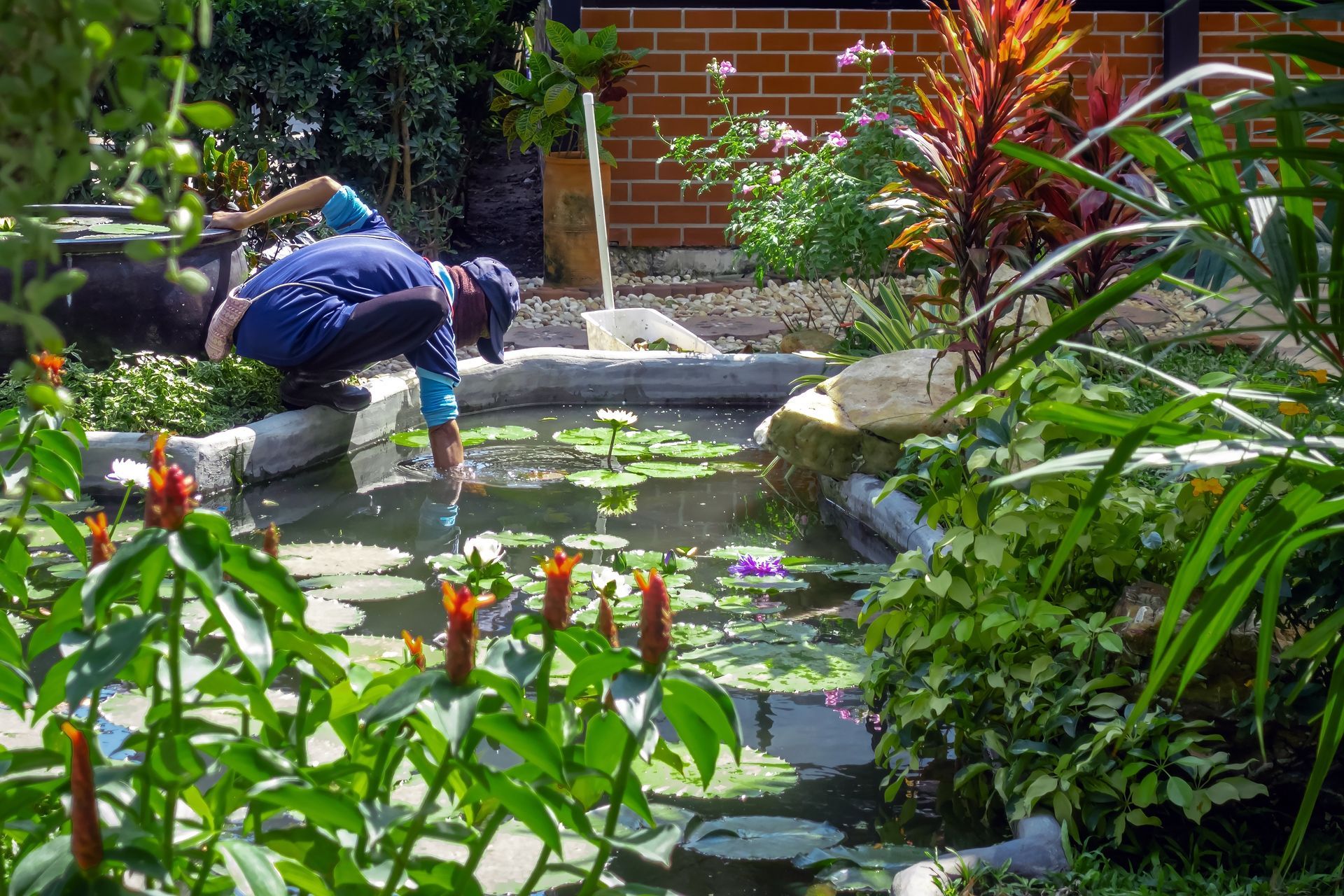 A man is kneeling next to a pond in a garden.