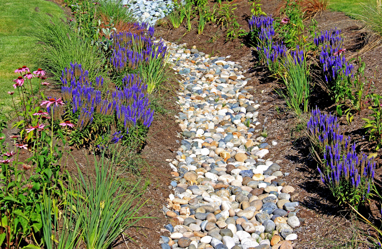 Elite Outdoor Living Solutions installed a decorative stone drainage pathway through a garden in Belle Isle, OKC.