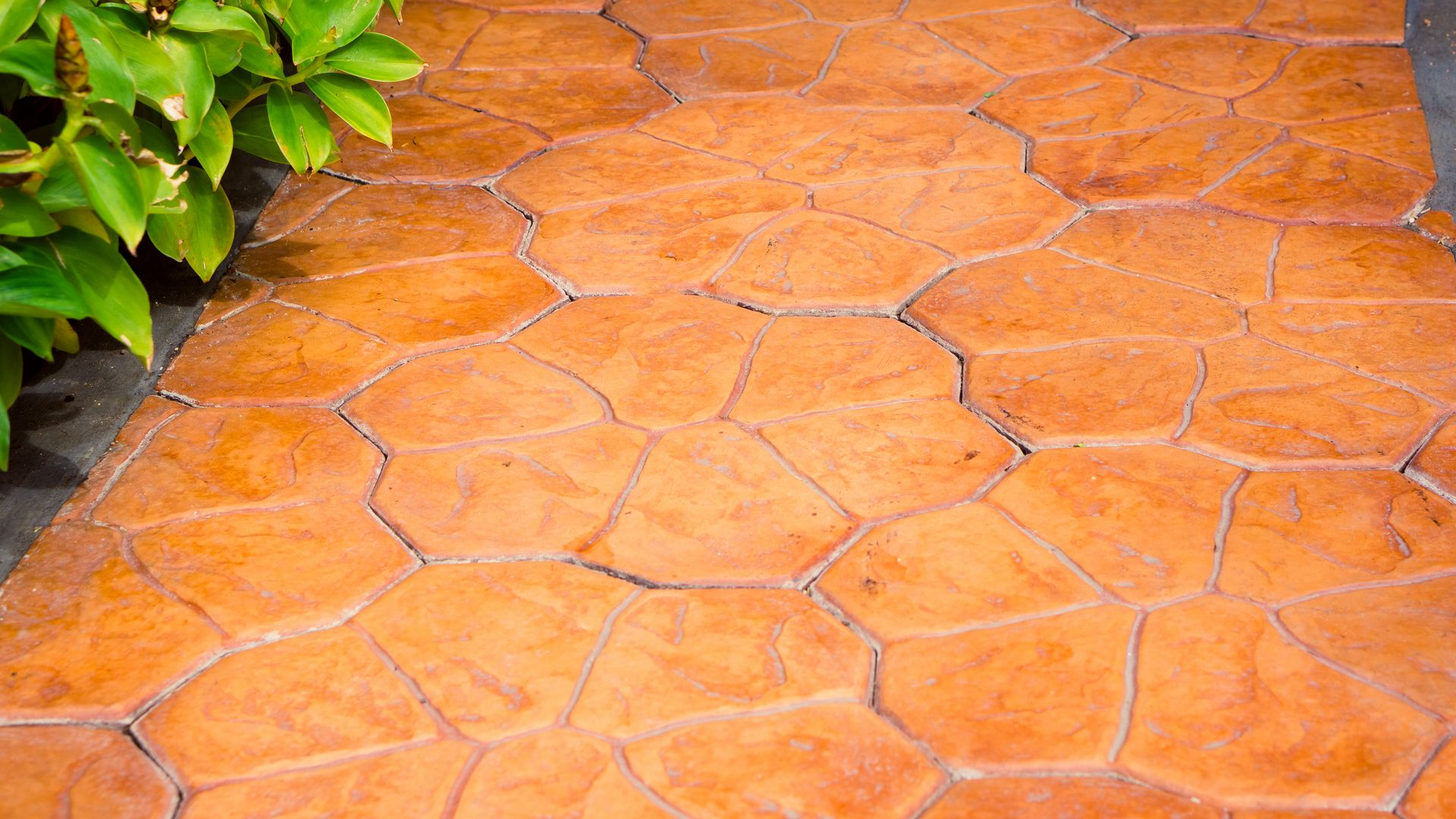 Close-up view of orange-hued stamped concrete pathway with irregular stone pattern next to lush green plants.