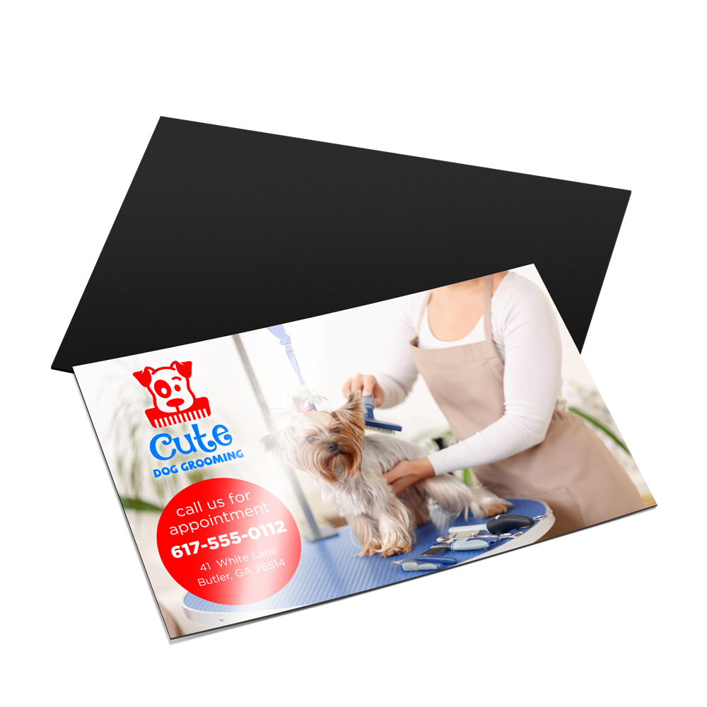 A business card with a picture of a woman grooming a dog.