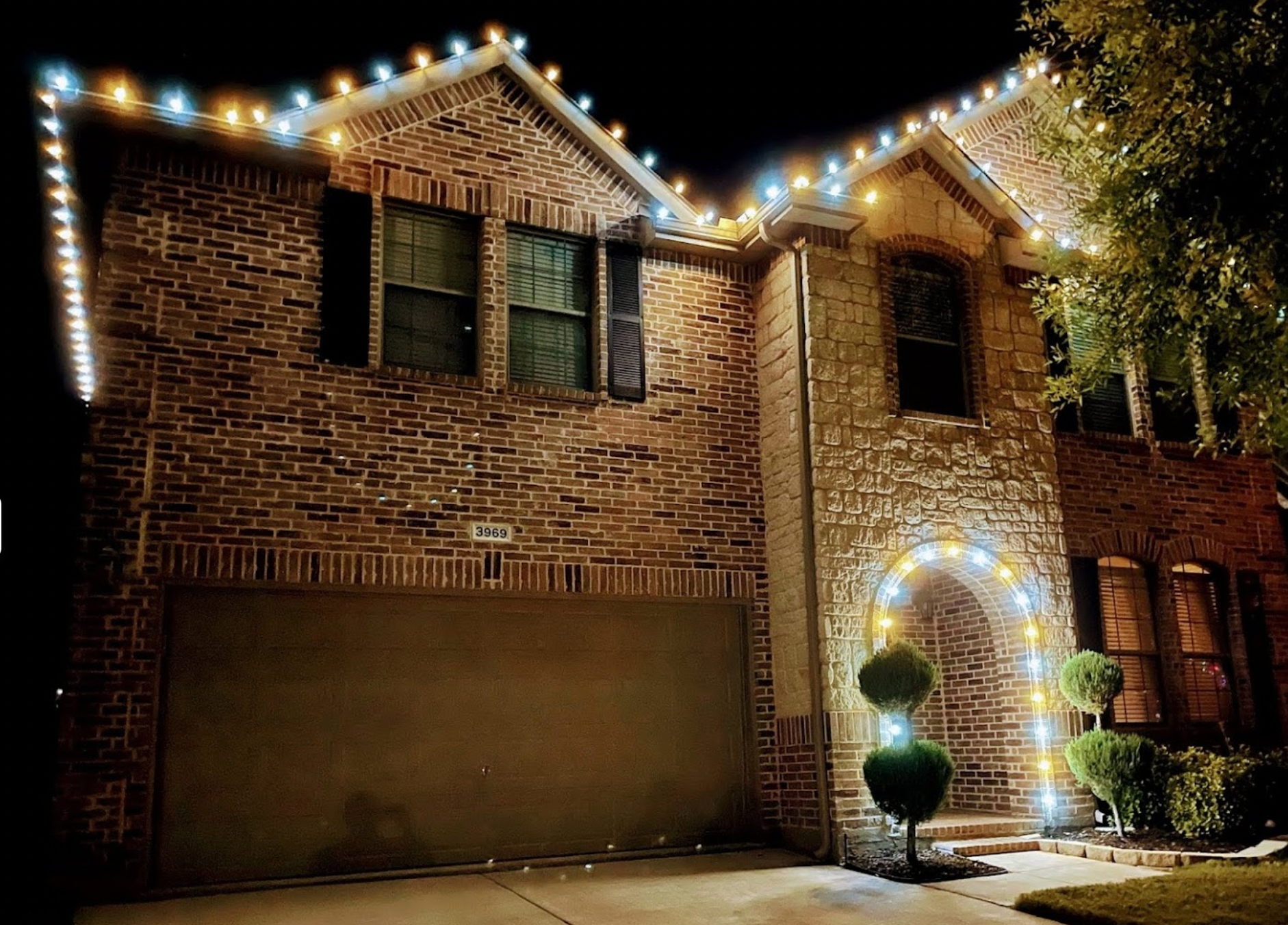 champagne pure white warm white cool light christmas lights