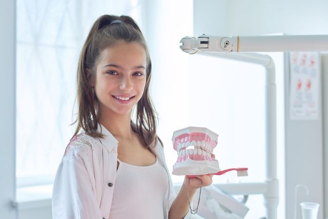 A young girl is holding a model of teeth and a toothbrush.