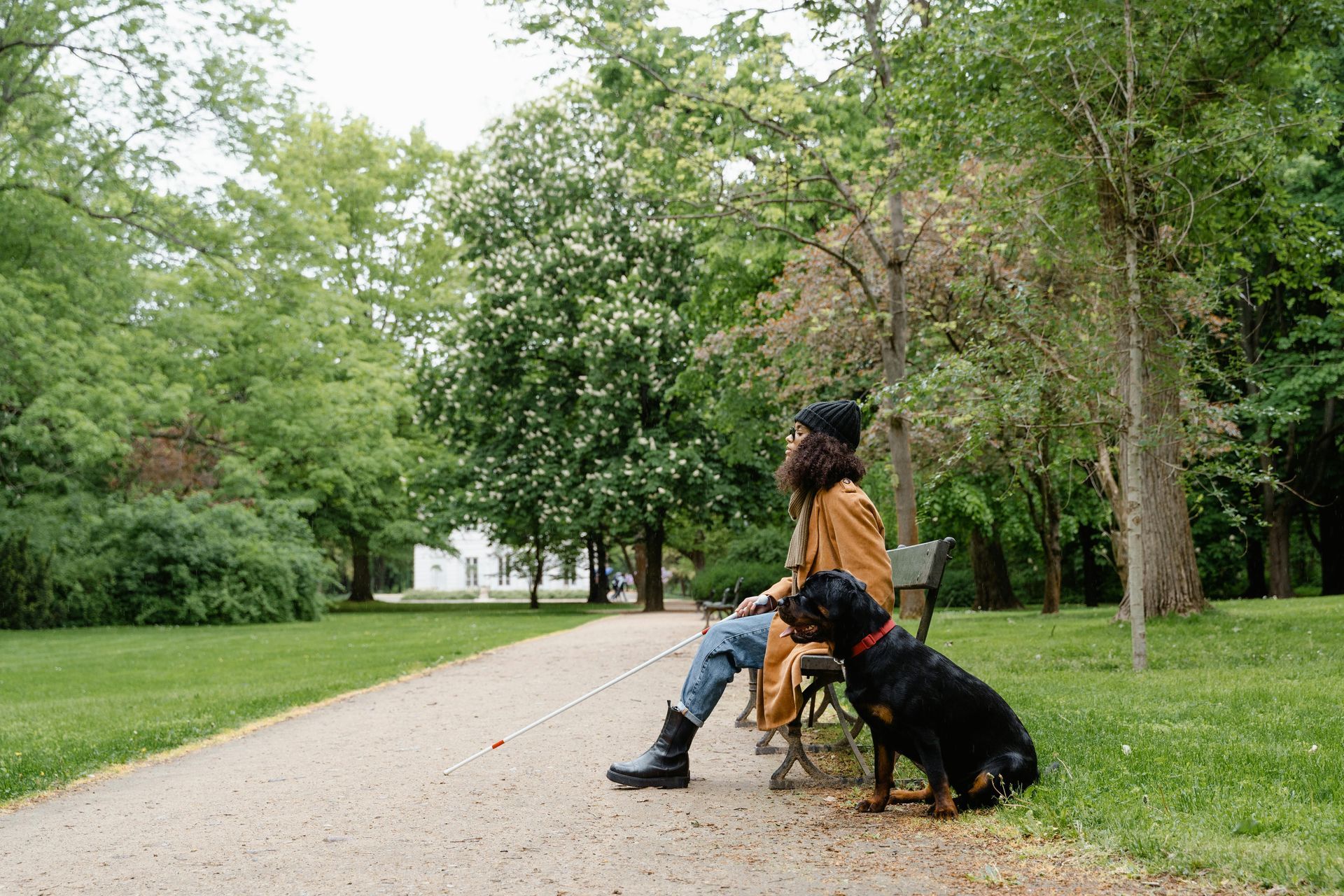 Person with a guide dog seated on a park bench; holding white cane, greenery in the background.