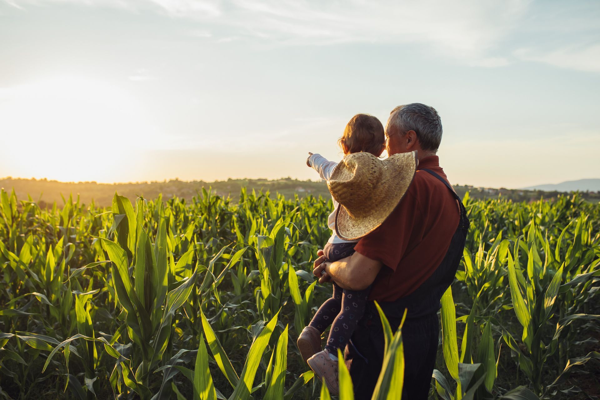 A Man And A Child Are Standing In A Corn Field – Warrnambool, VIC - Taits Legal