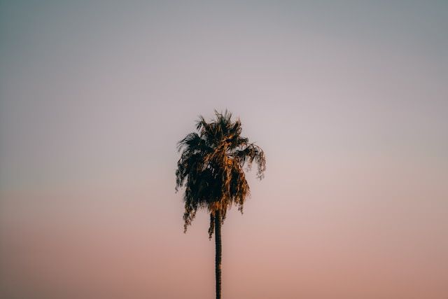 funeral homes Saltillo, MS