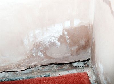 damp proofing services