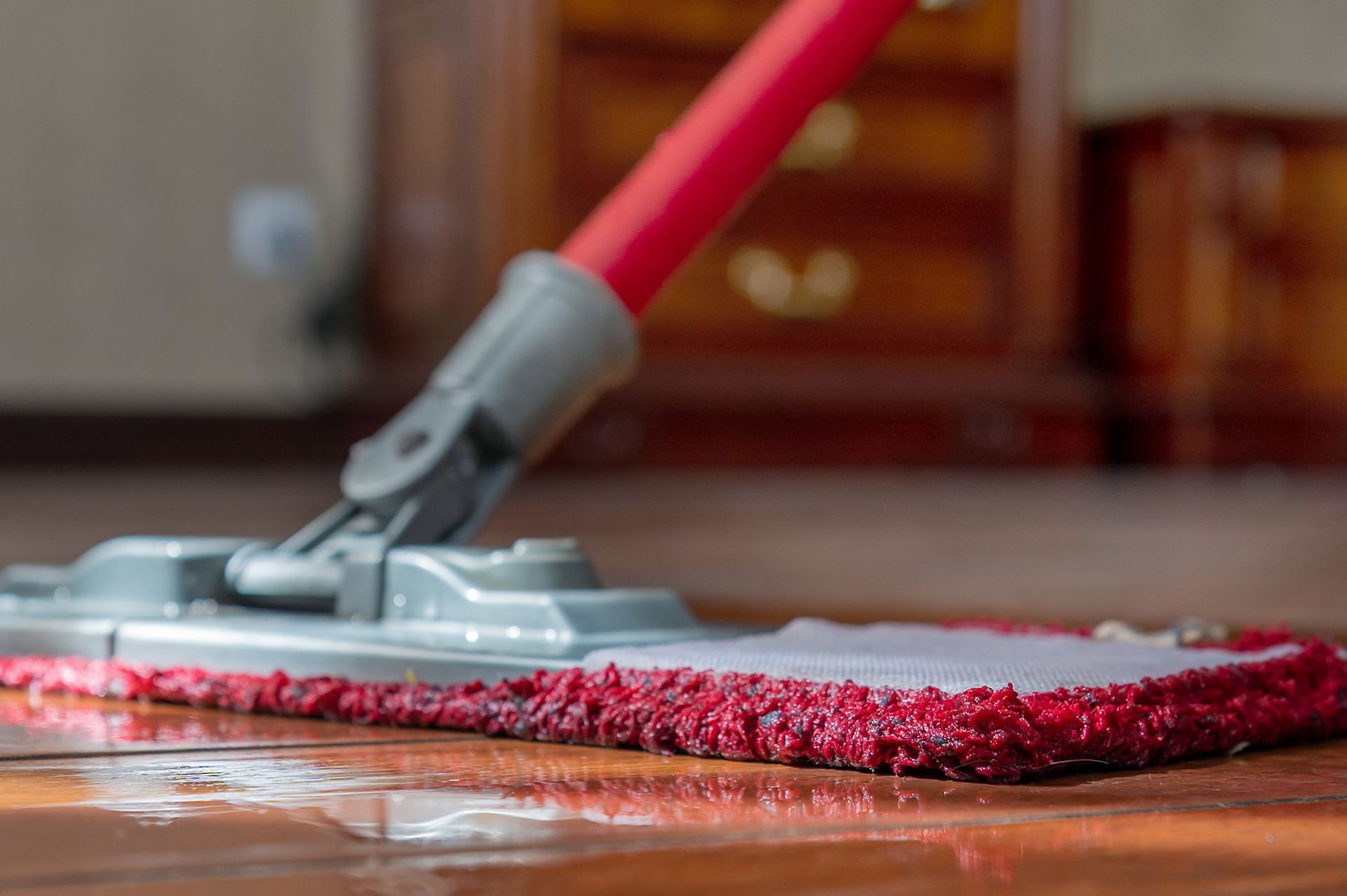 Professional wood floor refinisher final mopping a newly refinished hardwood floor