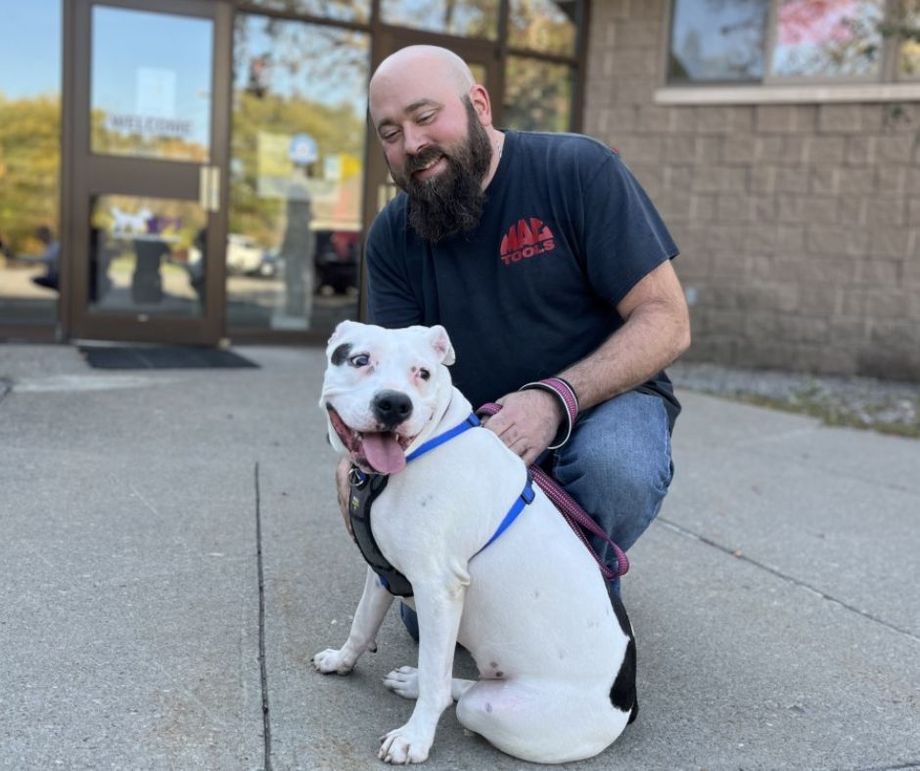 A man with a beard is kneeling down next to a white dog