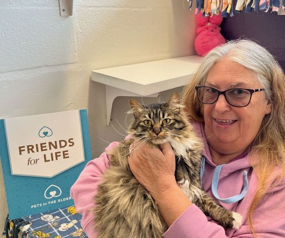 A woman is holding a cat in her arms in front of a sign that says `` friends for life ''.