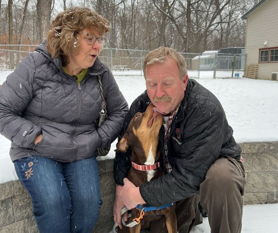 A man and a woman are sitting next to a dog in the snow