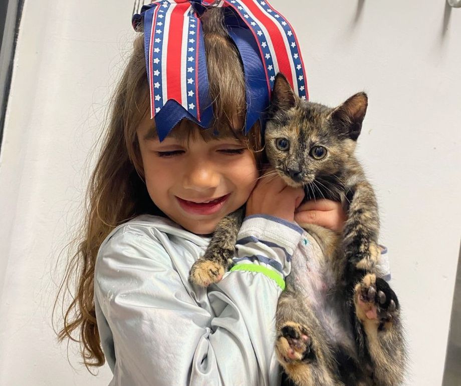 A little girl with a bow on her head is holding a cat.