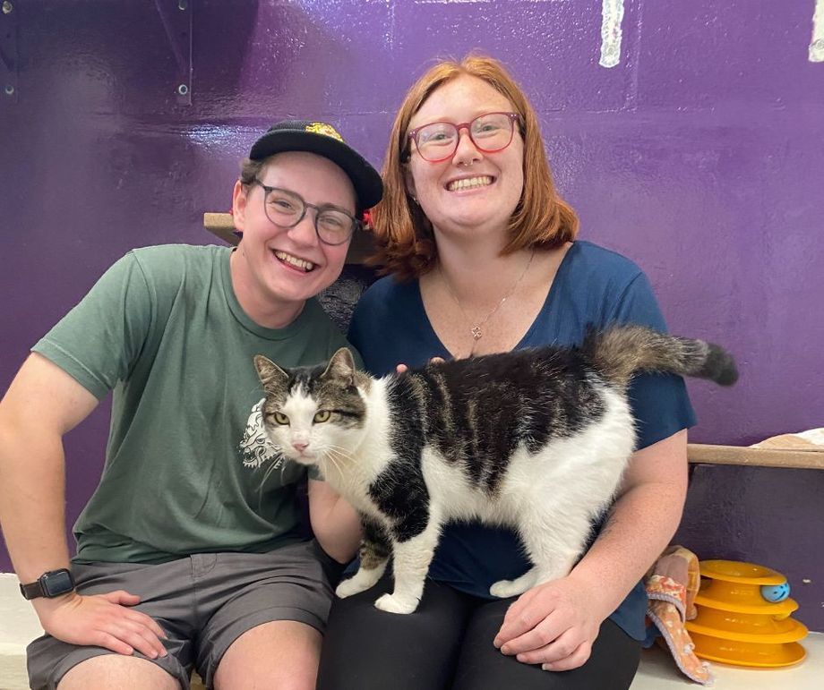 A man and a woman are posing for a picture with a cat.