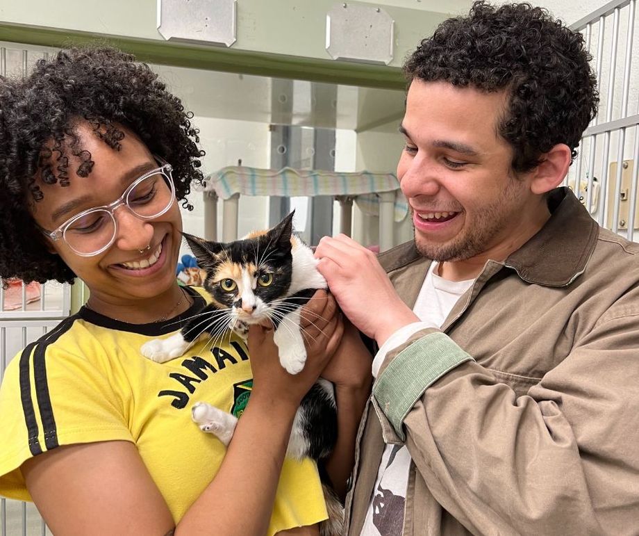 A woman in a jamaican shirt is holding a cat