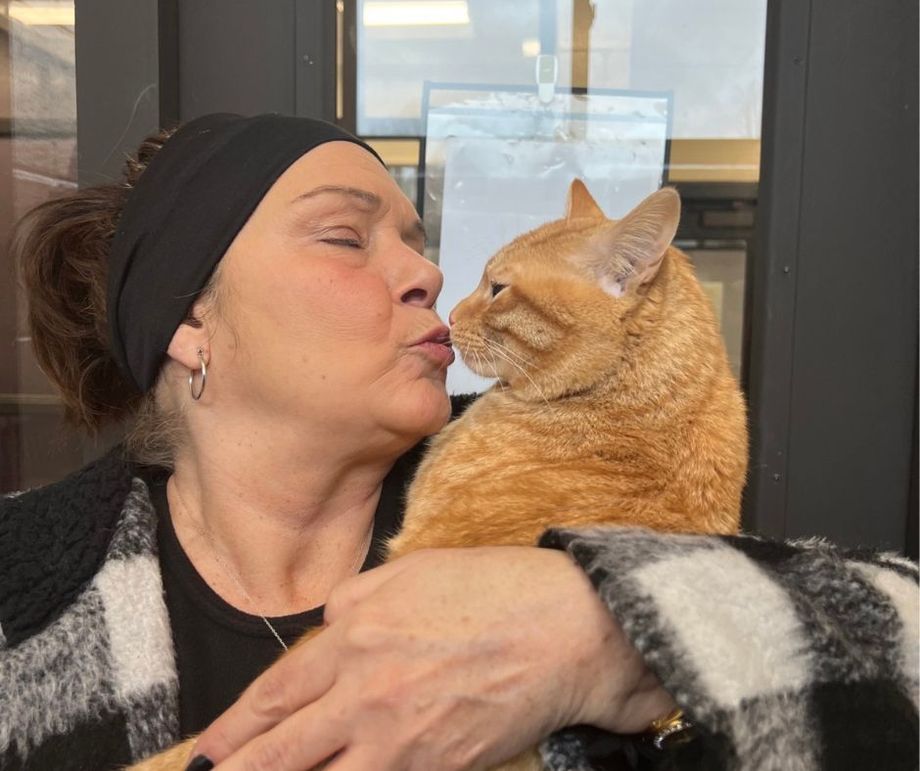 A woman is kissing an orange cat on the nose