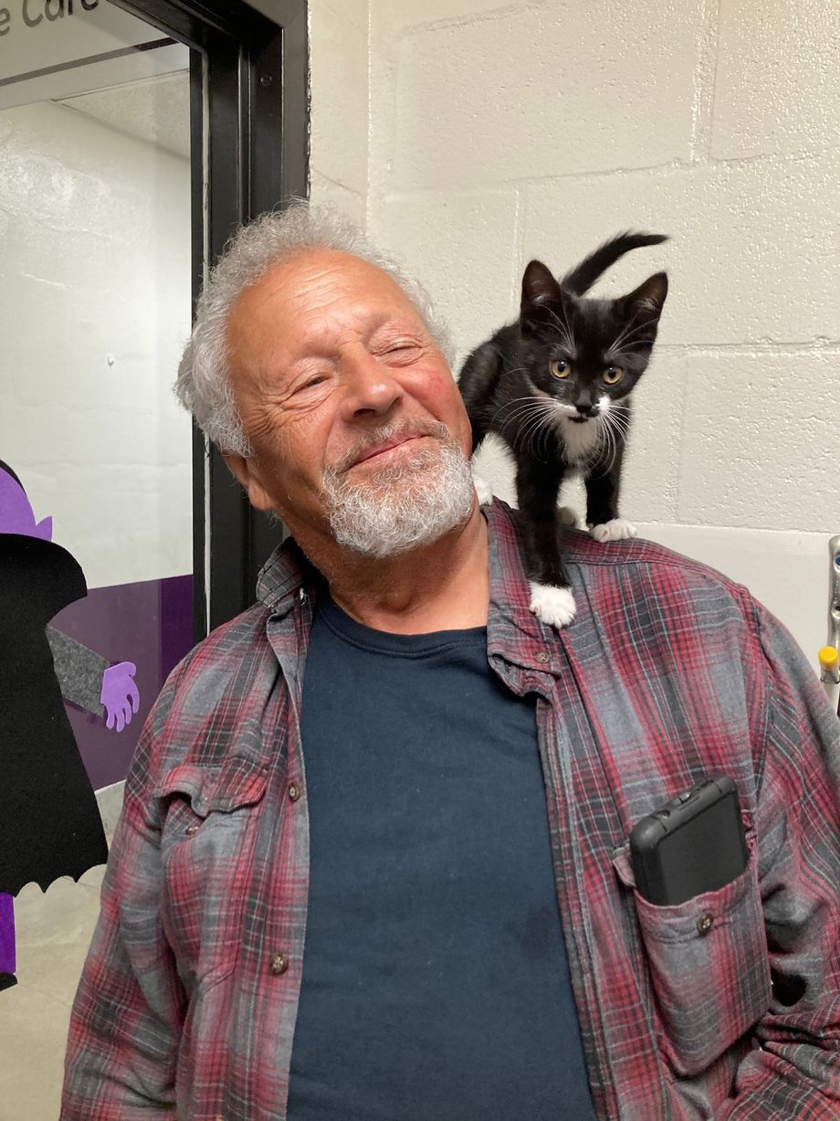 A man is holding a black and white kitten on his shoulder.