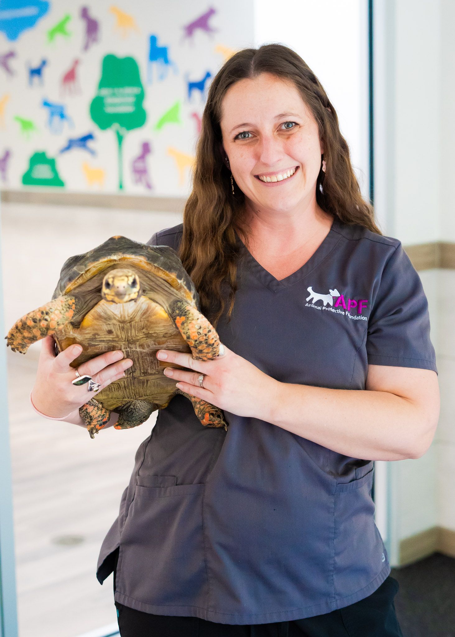 A woman is holding a large turtle in her hands.