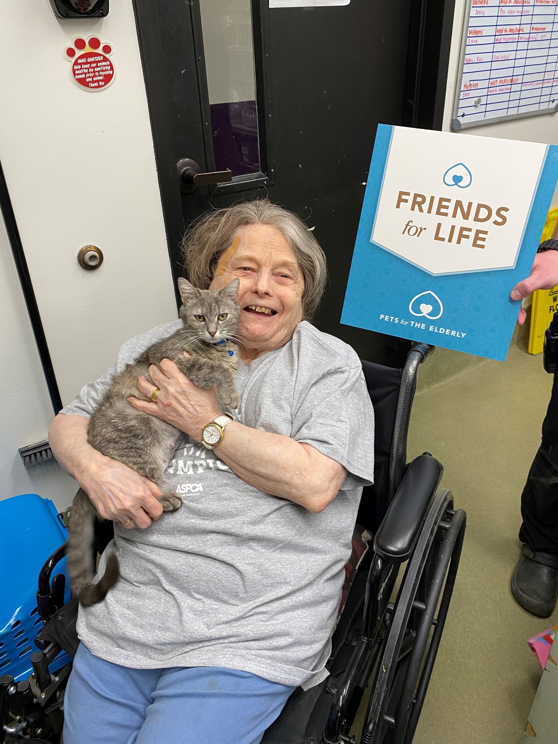A woman in a wheelchair is holding a cat.